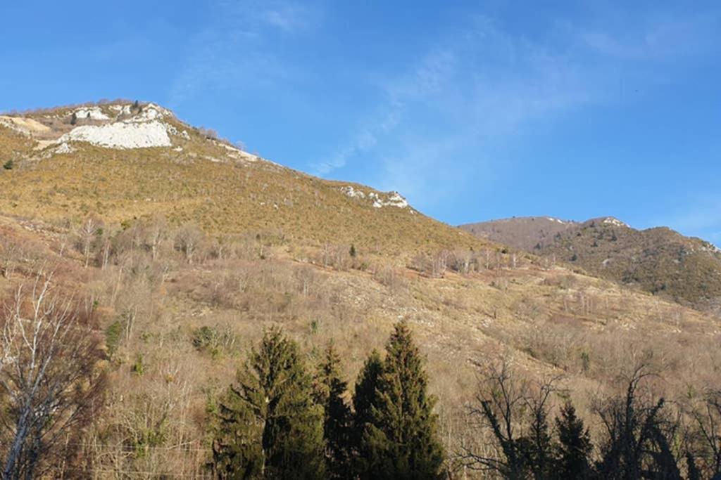 Appartement Cosy Au Pied Du Tourmalet Campan Buitenkant foto